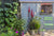 ‘How to’? Create a bog garden