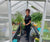 ‘How to’? Get Growing with our Team – Anne