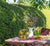‘How to’? Choose the Right Hedging for your Garden