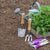‘How to’? Prepare Your Garden for Planting