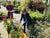 It’s your chance to create your dream garden!