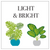 ‘How to’? Find the Right Plant for the Right Place – Light & Bright