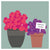 ‘How to’? Create a Takeaway Garden