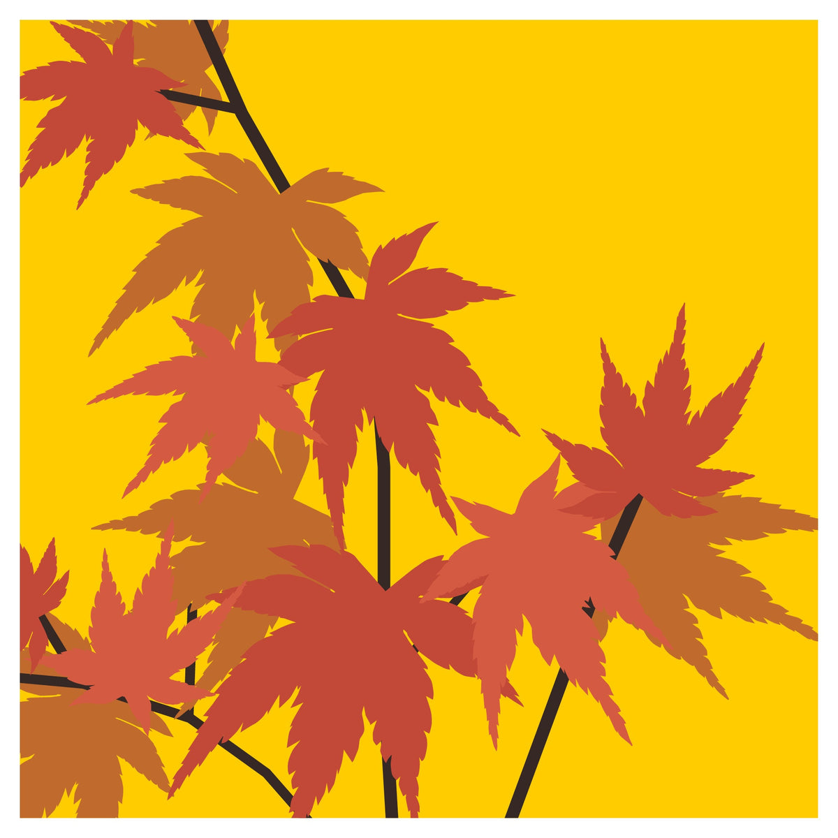 ‘How to’? Add a Splash of Colour in Autumn Perrywood