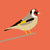 ‘How to’? Attract Birds To Your Garden