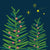 ‘How to’? Care for your Christmas Tree