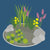 ‘How to’? Create a mini pond