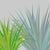 ‘How to’? Introduce Ornamental Grasses