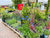 Let’s help you find the right plant for the right place!