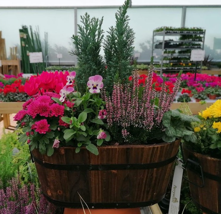 ‘How to’? Use a Colour Wheel for Seasonal Containers Perrywood