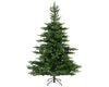 GRANDIS FIR 7FT - T4