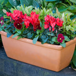 'How to'? Plant a Bulb Spring Surprise