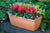 'How to'? Plant a Bulb Spring Surprise