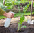 ‘How to’? Avoid Using Chemicals in the Garden