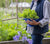'How to'? Grow Your Own – Simple Tips