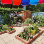 Has Your Garden Survived the Heatwave? Take Our Survey