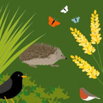 ‘How to’? Attract Wildlife to your Garden – in collaboration with Essex Wildlife Trust
