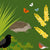 ‘How to’? Attract Wildlife to your Garden – in collaboration with Essex Wildlife Trust