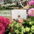 'How to'? Plant an Allergy Friendly Garden