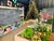 Get Children Gardening