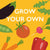 ‘How to’? Sow and Look After Your Vegetable Seeds