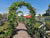 ‘How to?’ Use Climbing Plants