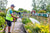 ‘How to?’ Water your Garden through a Summer Heat Wave