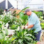 Thank You from Perrywood!