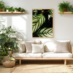 Get Set for a Joyful January!