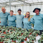 Time to refresh your plants