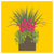 ‘How to’? Create Sensational Autumn Containers