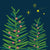 ‘How to’? Care for your Christmas Tree