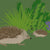 ‘How to’? Look After Hedgehogs in your Garden