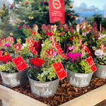 Christmas Made Easy!