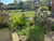 Share your garden with us
