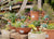 ‘How to?’ Create your own Alpine Container