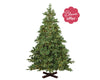 ROSSLAND FIR 7FT PRELIT - T110