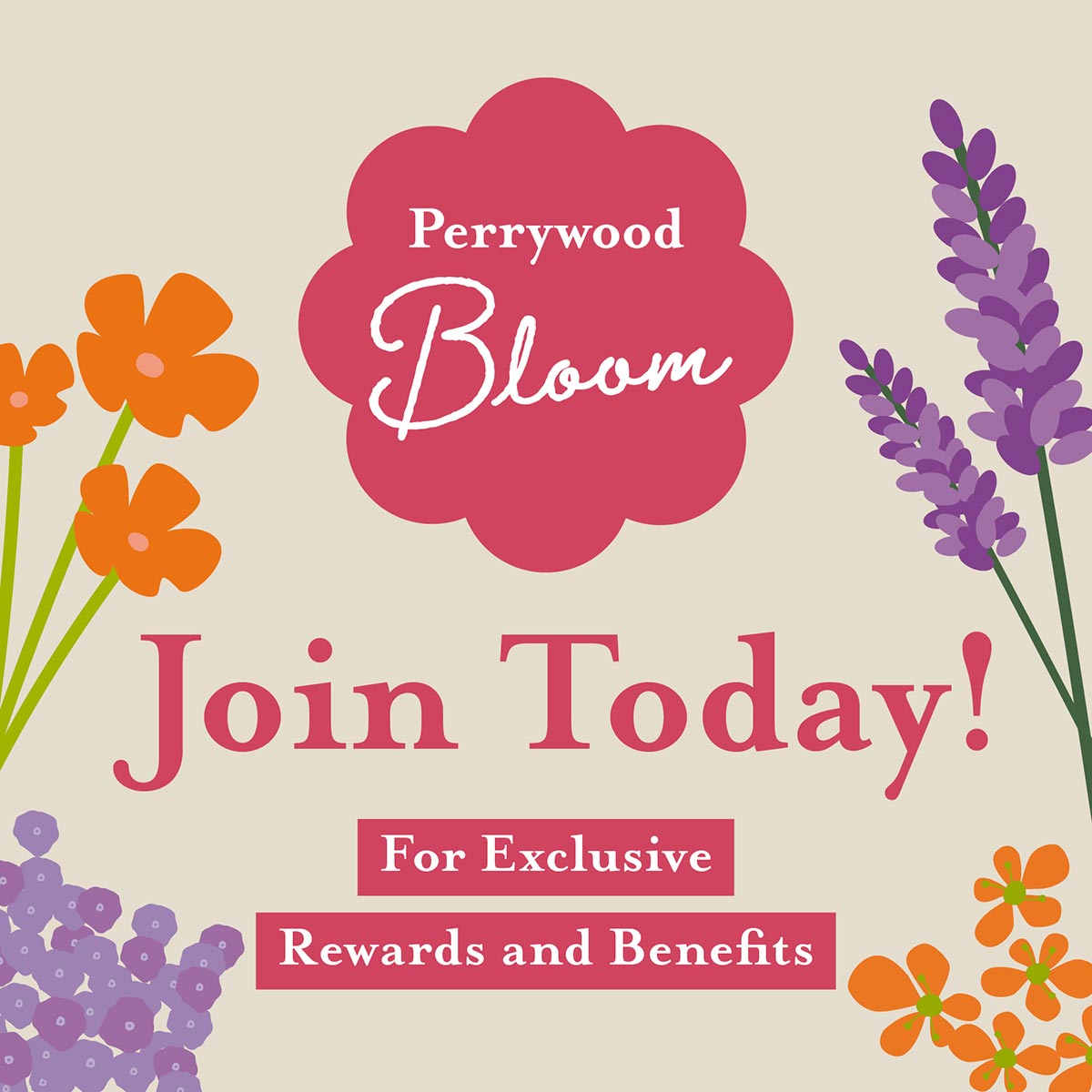 Bloom Loyalty Programme– Perrywood